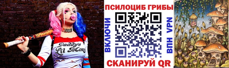 blacksprut ссылка  где купить наркотик  Свирск  Псилоцибиновые грибы ЛСД 